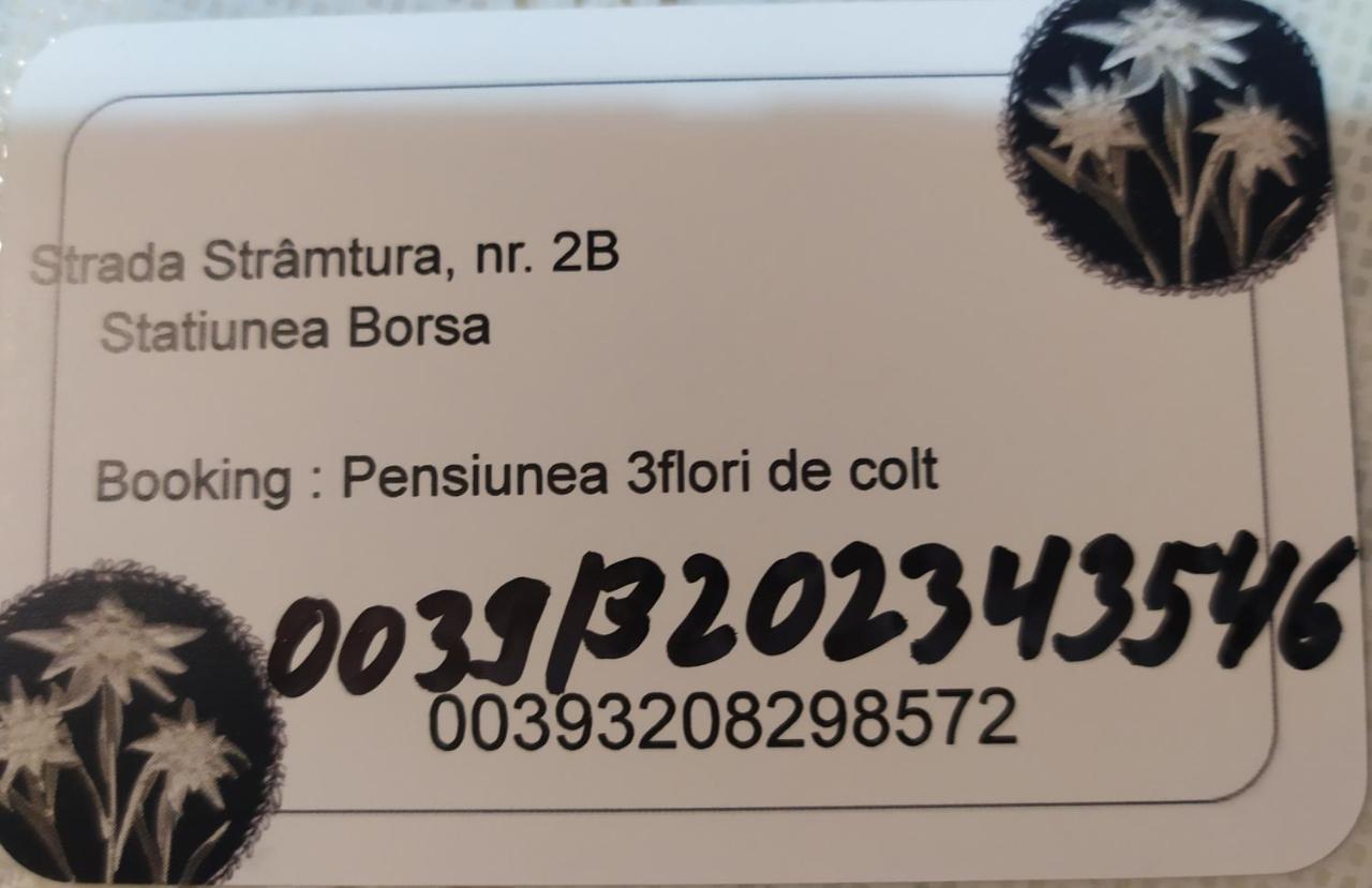 מלון Statiunea Pensiunea 3Flori De Colt מראה חיצוני תמונה